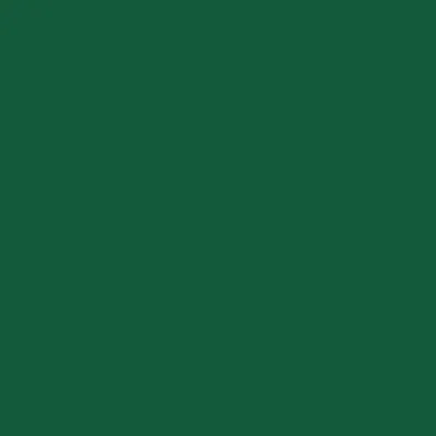 TEST-Griffband Pro